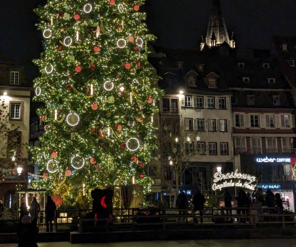 Sapin de Noël à Strasbourg 2
